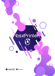 bsxPrinter Professional